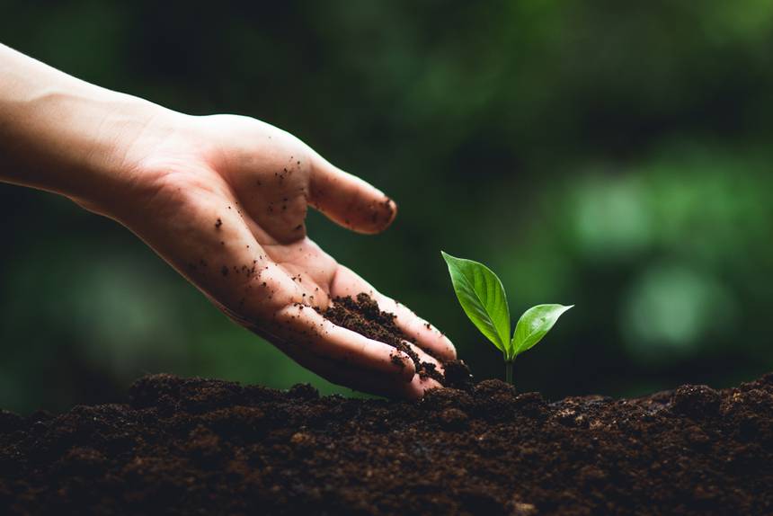 为什么腐植酸是土壤有机质中最好的成分？