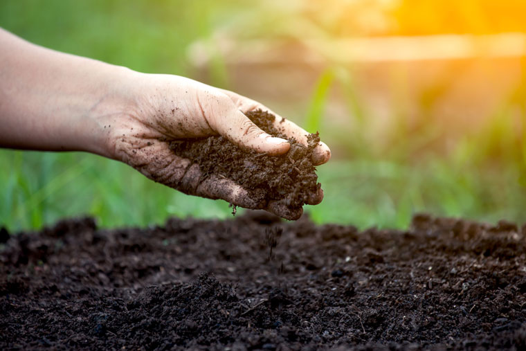 生化黄腐植酸的用途范围及生化黄腐酸的作用及功能有改土、增肥、增收