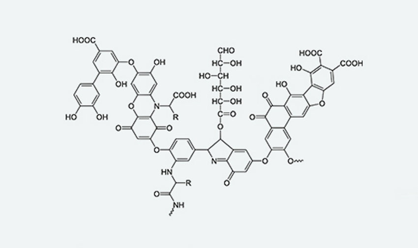 腐植酸行业为何呈现“小、乱、散”的局势？原因之一为腐植酸检测标准不足够精确。