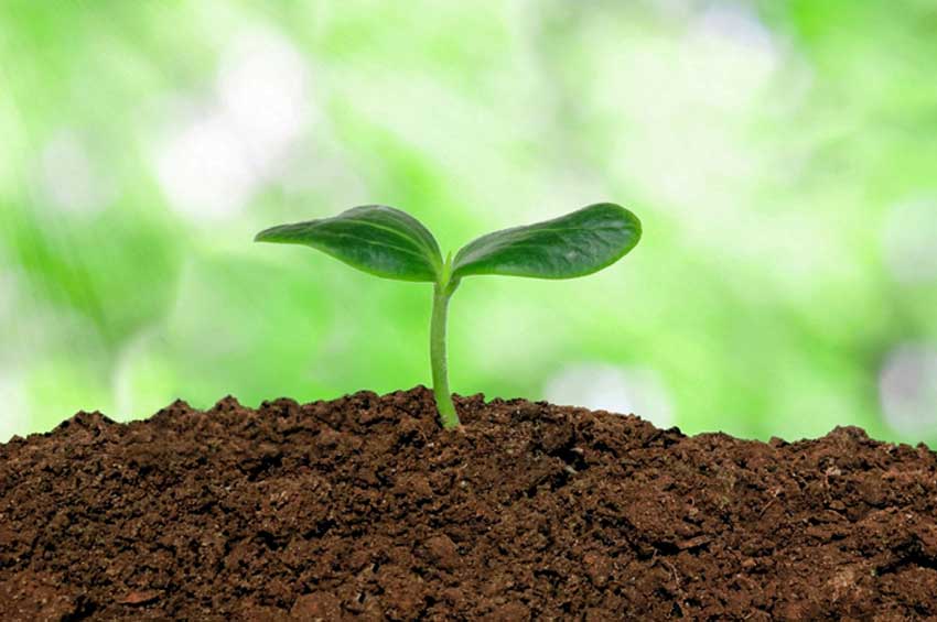 土壤改良剂：腐植酸作为土壤改良剂的作用