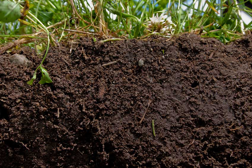 腐殖酸的作用原理：对有毒有机物污染土壤的修复（前篇）