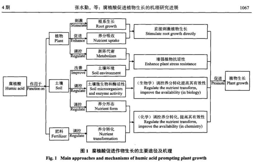 短篇幅讲解腐植酸对农作物的作用原理