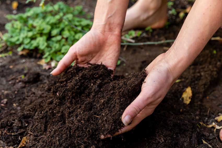 腐植酸对土壤中养分形态的调控作用