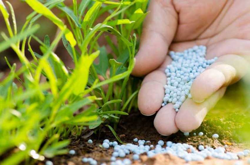 腐植酸对肥料中养分形态的调控作用