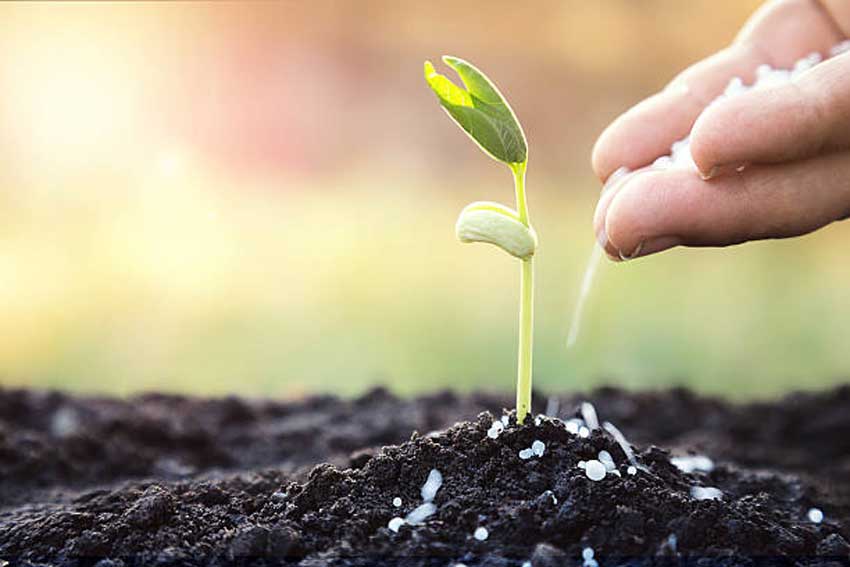 腐植酸增效土壤与肥料养分受哪些因素影响？