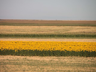 Best humic acid fertilizer for crops