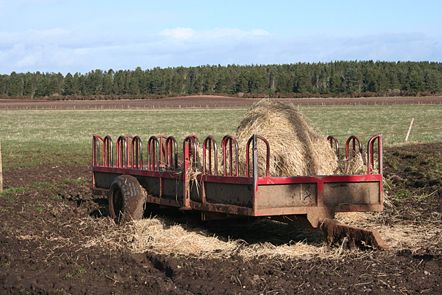Humic acid is used for feed additive for livestock