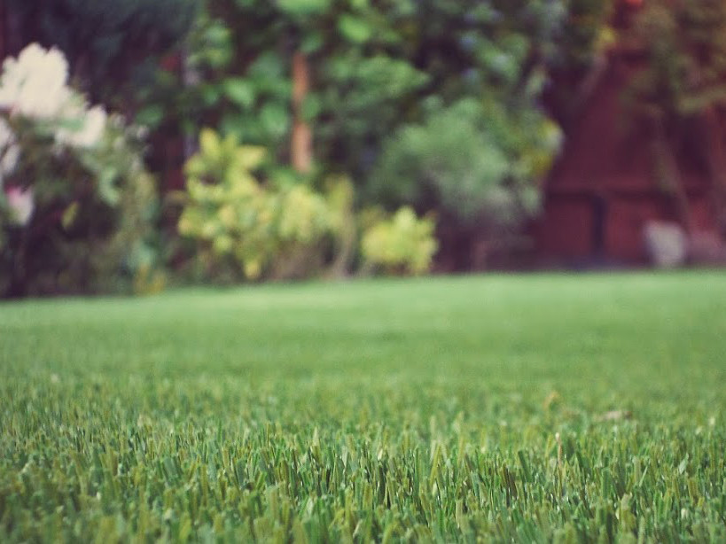 Humic acid used for healthy lawns