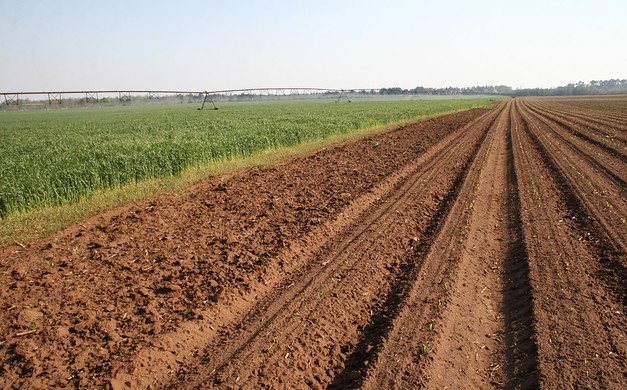 Humic acid used for water retention in soil