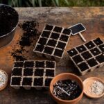 Potassium humate is used for seed treatment