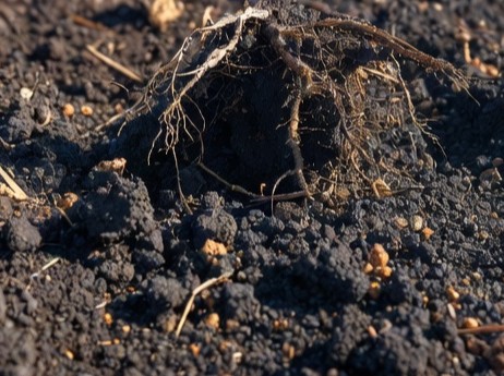 Humate is used as a soil conditioner