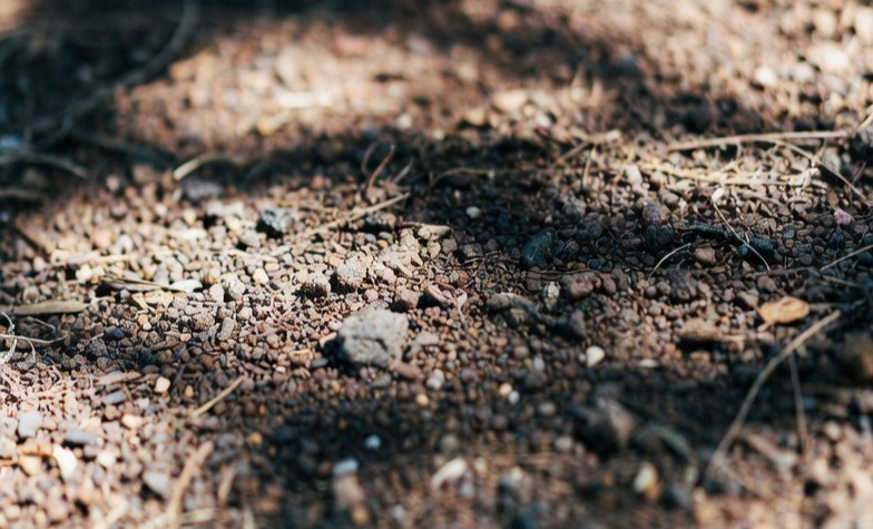 Humate used for soil