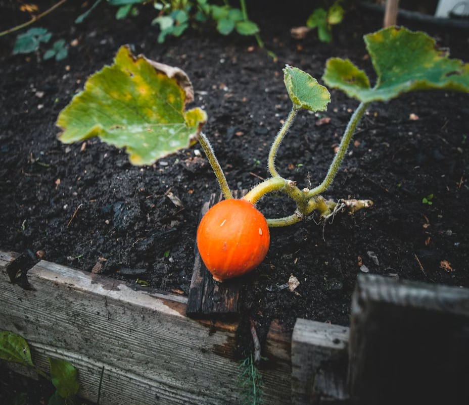 Organic fulvic acid