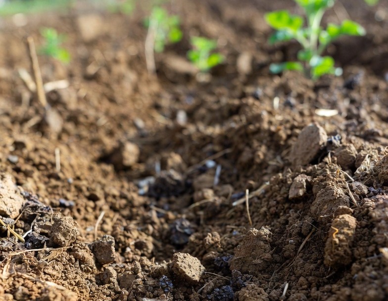 Potassium Fulvic Acid