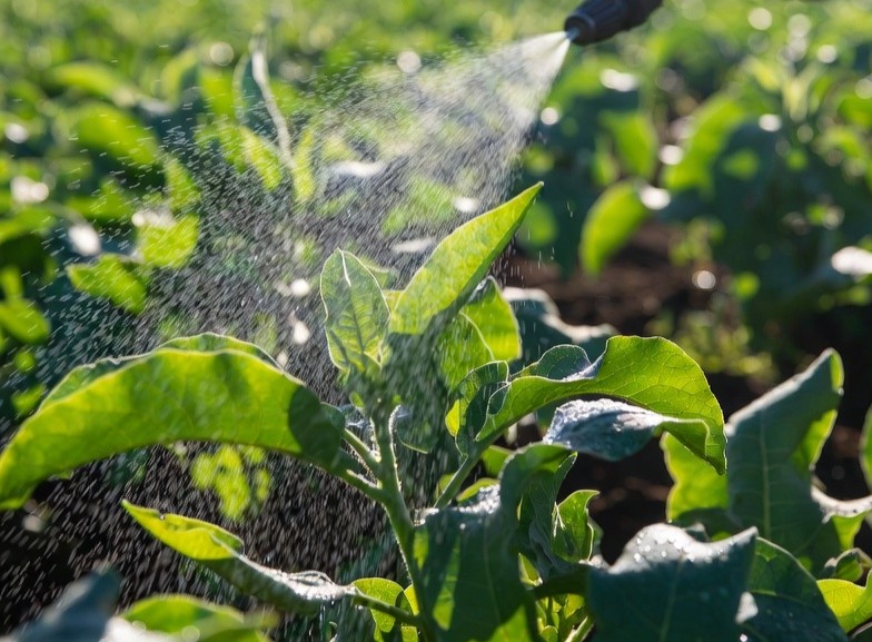 Potassium fulvate flakes